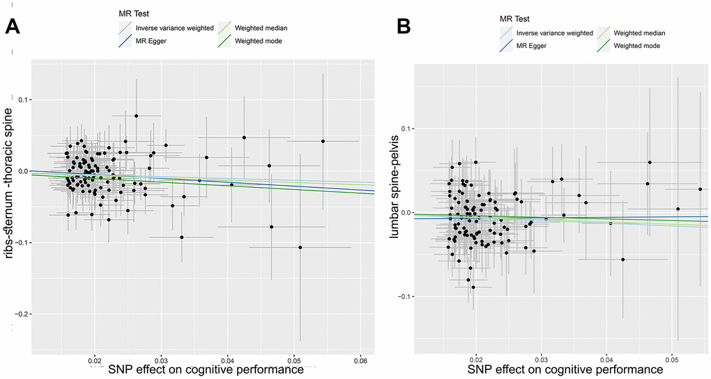 Mendelian randomization analysis: correlation between cognitive performance and site-specific fractures. This scatter plot depicts the genetic correlations between cognitive performance and fractures in the ribs-sternum-thoracic spine (A) and lumbar spine pelvis (B). Different Mendelian Randomization methods were used in the analysis. The slope of each line in the plot indicates the estimated causal effects inferred using each method.