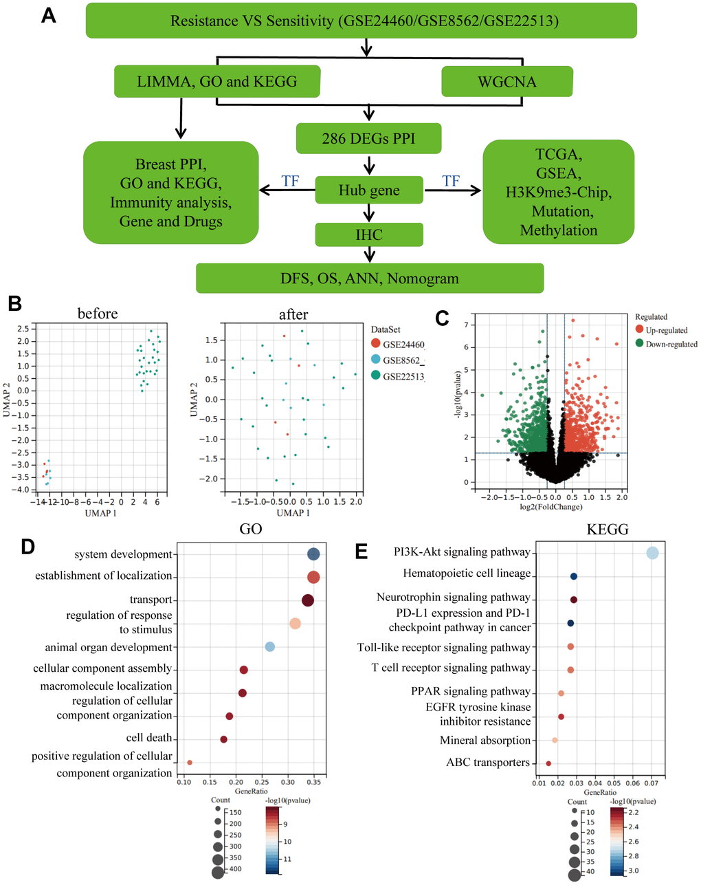 Eliminating batch effect between different sequencing platforms. (A) Workflow of this study. (B) Eliminating the batch effect of GSE24460, GSE862 and GSE22513, and combing the three datasets into a singular dataset, named GSE1. (C) Volcano plots of DEGs in GSE1. (D) TOP10 BP enrichment analysis of DEGs in GSE1. (E) KEGG enrichment of the TOP10 terms in GSE1.