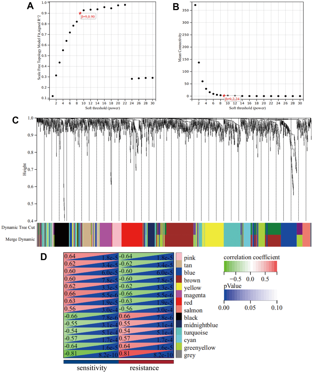 WGCNA. (A) A Scale-free fit index as a function of soft-thresholding power. (B) The mean connectivity is a function of soft-thresholding powers. (C) Highly interconnected groups of genes were clustered and modules are represented by distinct colours in the horizontal bar. (D) Heatmap showed the correlations of module eigengenes with clinical traits. The numbers in each cell represent the correlation coefficients and P-value between clinical trait and module eigengenes.