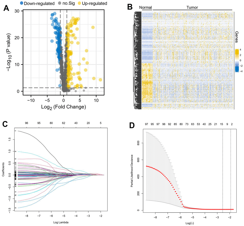 Differential oxidative stress-related genes between liver cancer and normal tissues. A volcano map (A) and heatmap (B) about differential oxidative stress-related genes was created, the down-regulated genes were expressed in blue, the up-regulated genes in yellow and the genes that did not differ between groups were represented in grey. Lambda obtained minimum value (C), model enrolled 11 important genes (D).