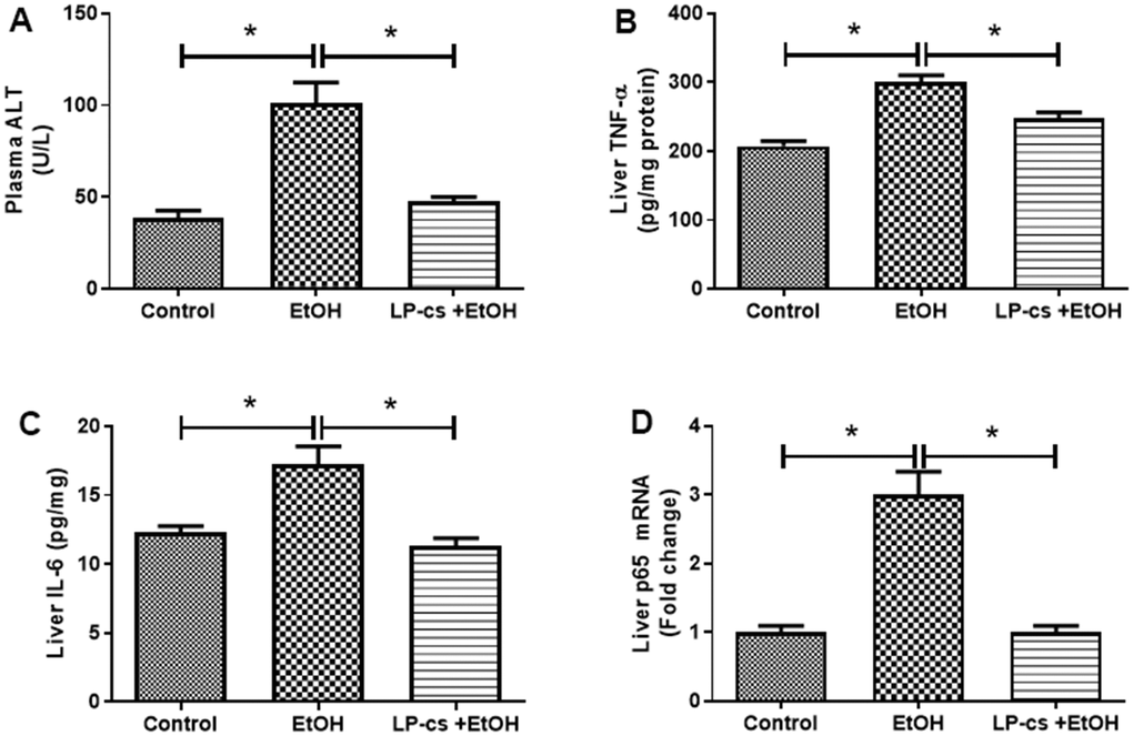 Lactobacillus plantarum ST-III culture supernatant (LP-cs) ameliorates acute alcohol-induced liver injury. (A) Plasma alanine aminotransaminase (ALT) levels. (B) Liver TNF-α levels. (C) Liver IL-6 levels. (D) Relative liver mRNA expression of P65. Data are expressed as mean ± SEM. *p 