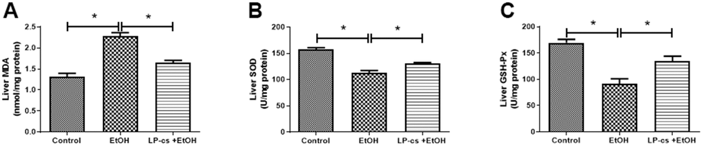 Lactobacillus plantarum ST-III culture supernatant (LP-cs) ameliorates acute alcohol-induced ROS. (A) Liver malondialdehyde (MDA) levels. (B) Liver superoxide dismutase (SOD) levels. (C) Liver glutathione peroxidase (GSH-PX) levels. Data are expressed as mean ± SEM. *p 