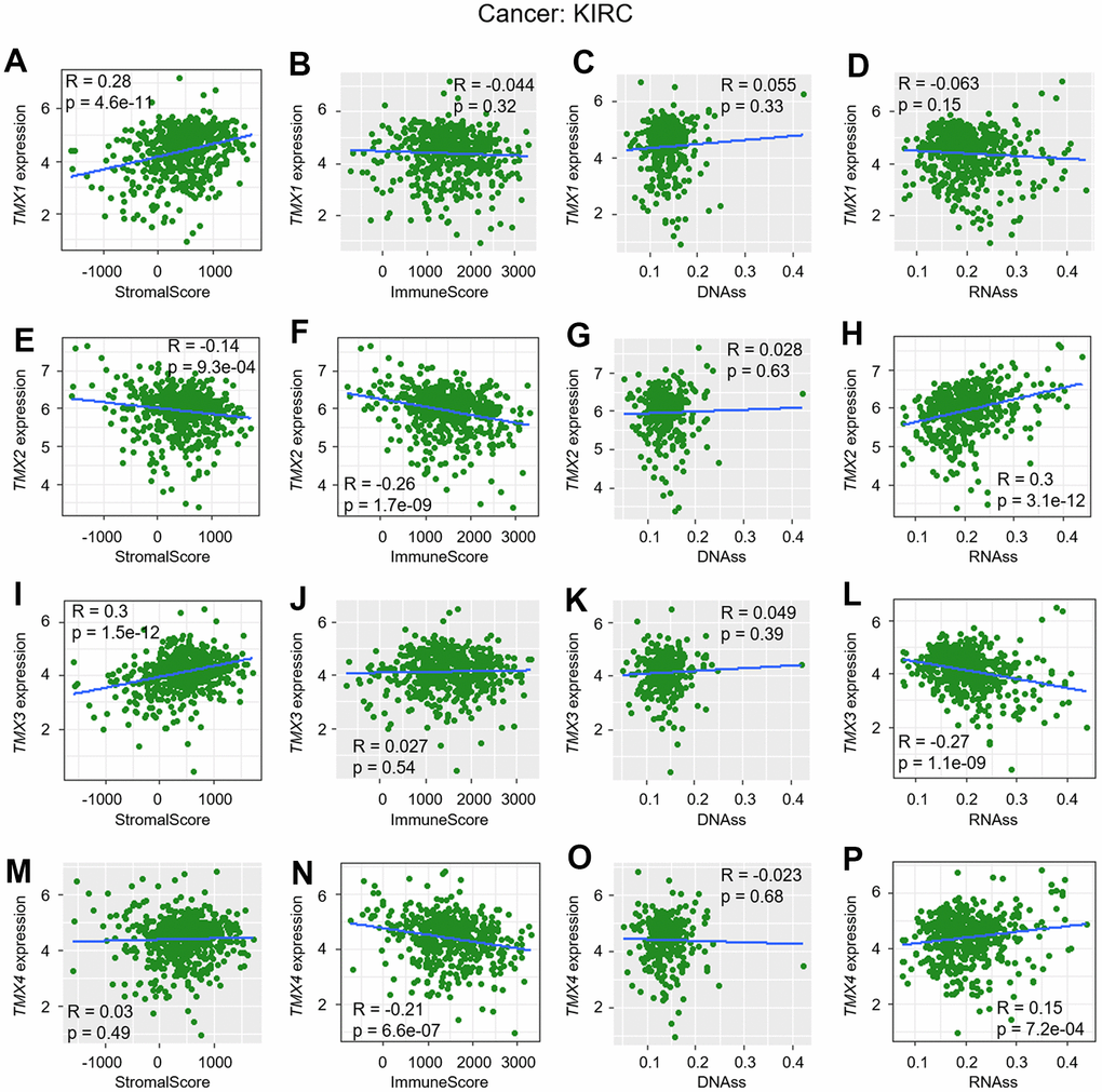 Correlation analysis of TMX family genes expression with TME and stemness score in KIRC. TMX1 expression correlated with stromal score (A), immune scores (B), DNAss (C), and RNAss (D). TMX2 expression associated with stromal score (E), immune scores (F), DNAss (G), and RNAss (H). The correlation of TMX3 expression with stromal score (I), immune scores (J), DNAss (K), and RNAss (L). TMX4 expression correlated with stromal score (M), immune scores (N), DNAss (O), and RNAss (P). Gray brown background indicates no correlation between the gene expression and the corresponding index (p >0.05). Light background indicates that the gene is significantly correlated with the corresponding index (p 0 means positive correlation, R 