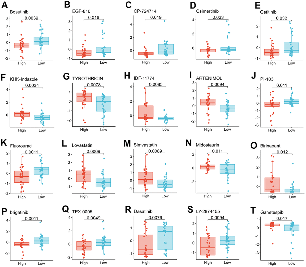 Relationship between TMX family genes expression and drug sensitivity. TMX1 expression was negatively correlated with drug sensitivity of Bosutinib (A), EGF-816 (B), CP-724714 (C), Osimertinib (D), and Gefitinib (E). TMX2 expression was positively correlated with the drug sensitivity of KHK-Indazole (F), TYROTHRICIN (G), IDF-11774 (H), ARTENIMOL (I), and negatively correlated with the drug sensitivity of PI-103 (J). TMX3 expression was negatively correlated with the drug sensitivity of Fluorouracil (K), and was positively correlated with the drug sensitivity of Lovastatin (L), Simvastatin (M), Midostaurin (N), Binrinapant (O). TMX4 expression was negatively correlated with the sensitivity of brigatinib (P), TPX-0005 (Q), Dasatinib (R), Ly-2874455 (S), but positively correlated with the drug sensitivity of Ganetespib (T).