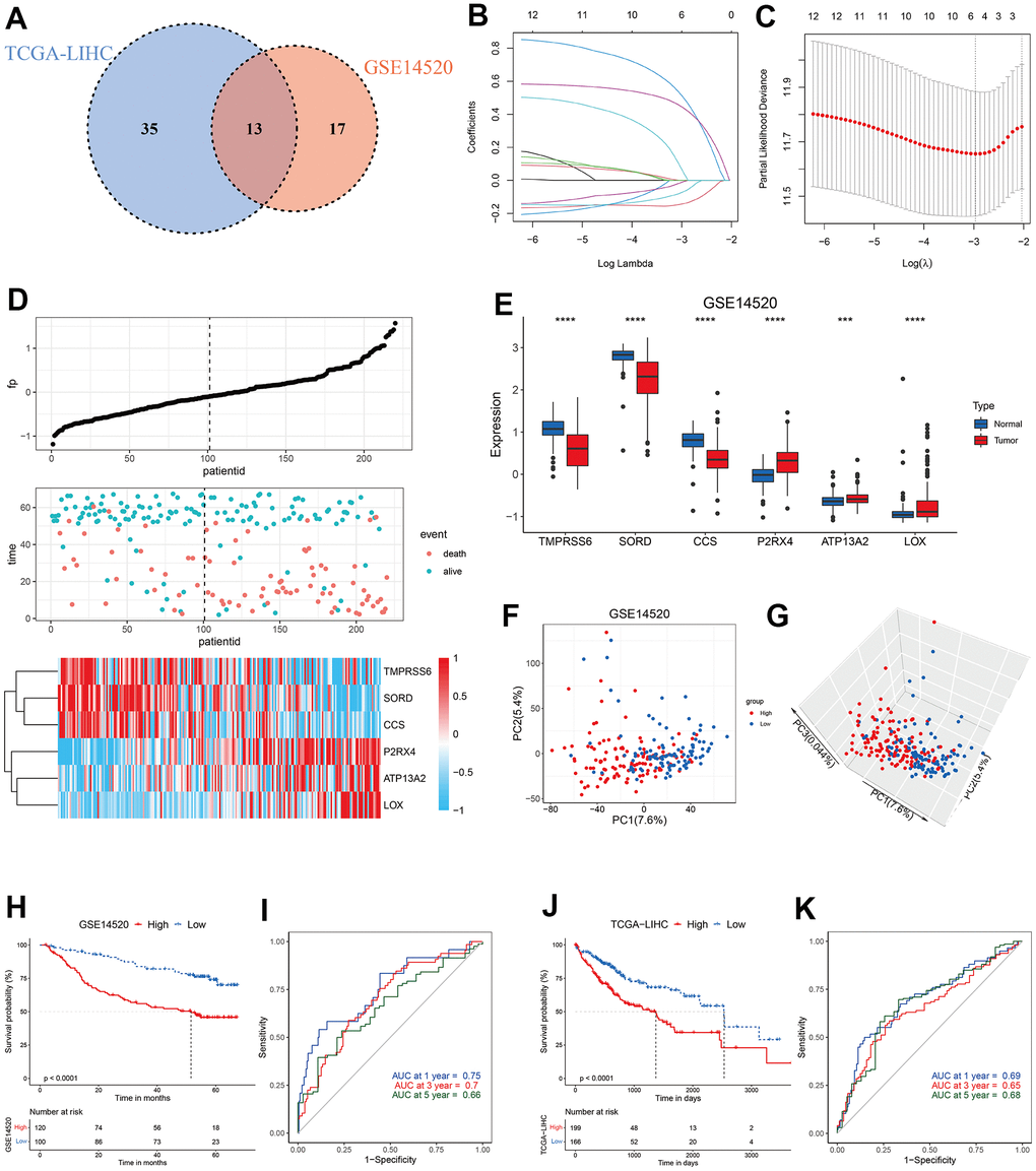 Construction of CMscore. (A) Venn diagram indicating 13 copper metabolism-related genes with prognostic significance less than 0.1 in GSE14520 and TCGA-LIHC datasets. (B, C) The LASSO Cox regression model was constructed from 13 copper metabolism-related genes. The tuning parameter (λ) was calculated based on the partial likelihood deviance with ten-fold cross validation. An optimal log λ value shown by the vertical black dot-lines in the plots. The six signature genes were identified according to the best fit profile. (D) The distribution and optimal cutoff value of CMscore, the OS status of each sample, and the expression value of the six crucial genes in the GSE14520 dataset. (E) The box plot showing the expression of six crucial genes in tumor and normal livers from the GSE14520 datasets. (F, G) The 2D (F) and 3D (G) plots of the PCA of the GSE14520 dataset based on the expression profiles of the 6 signature genes. (H) The prognostic significance of CMscore in GSE14520. The Kaplan-Meier method was used for prognosis analysis. (I) Time-dependent ROC analyses of the CMscore regarding the OS and survival status in the GSE14520 dataset. (J) The prognostic significance of CMscore in TCGA-LIHC. The Kaplan-Meier method was used for prognosis analysis. (K) Time-dependent ROC analyses of the CMscore regarding the OS and survival status in the TCGA-LIHC dataset. P-values were shown as *p 