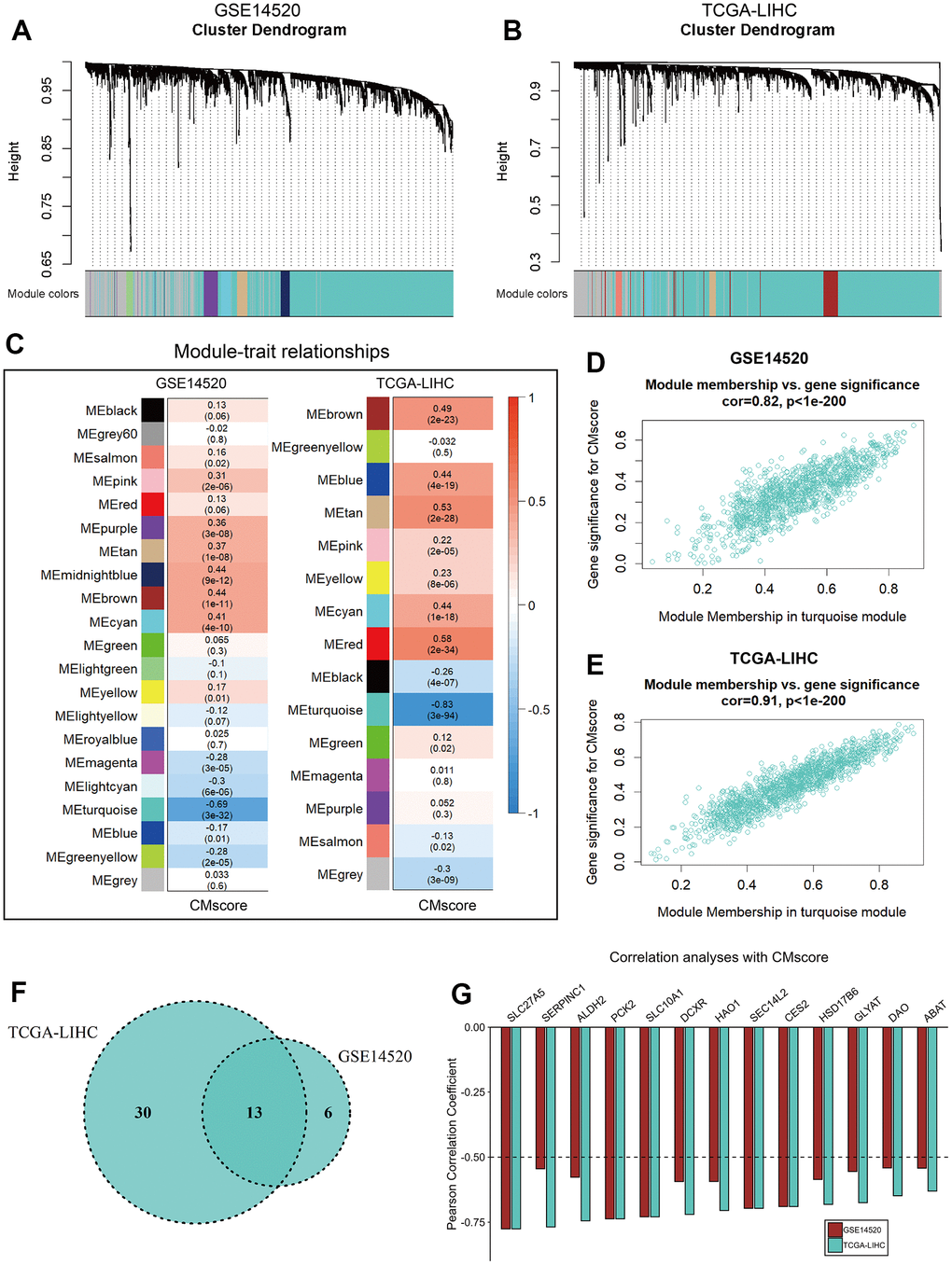 WGCNA analyses of CMscore. (A, B) Merging of mRNA co-expression modules in GSE14520 (A) and TCGA-LIHC (B) datasets. (C) Correlation heatmap of module genes and CMscore in the GSE14520 and TCGA-LIHC datasets. The correlation coefficient changed from –1 to 1 as the color turned from blue to red gradually. (D, E) Scatterplot of the correlation coefficient between the selected module (turquoise module) and the CMscore in GSE14520 (D) and TCGA-LIHC (E) datasets. (F) Venn plot of hub genes of the selected module in GSE14520 and TCGA-LIHC datasets. (G) Correlation coefficient of selected hub genes with CMscore in GSE14520 and TCGA-LIHC datasets.