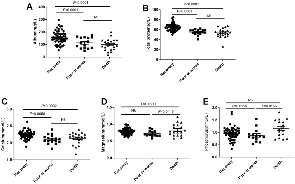 The plasma total protein and albumin levels affects outcomes of patients with COVID-19. Patients were divided into the recovery group, poor or worse group and the death group. (A, B) The total protein and albumin levels in 3 groups. (C–E) The distribution of concentration of calcium, phosphorus and magnesium in three groups. NS: not significant.