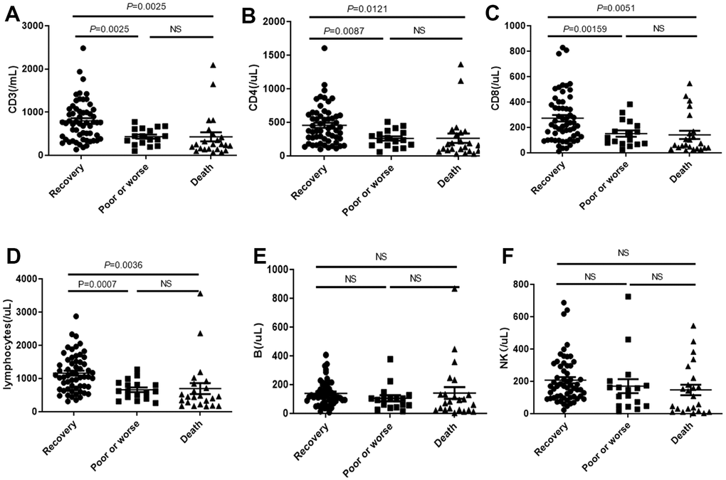 Distribution of absolute concentration of (A) CD3, (B) CD4, (C) CD8, (D) total lymphocytes, (E) B lymphocytes and (F) NK in PBMC among recovery, poor or worse, and dead groups with COVID-19. NS: not significant.