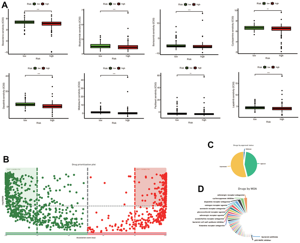 (A) Chemotherapy drugs with differential IC50 expression in the high-risk and low-risk groups predicted by the Prophetic package, and drugs with low IC50 expression in the high risk group were screened out (* * p p B) The drugs predicted by DREMIT website are different in the high and low risk groups, in which the best candidates in the first and second quadrants mean the candidates with more reliable results, while the remaining drugs mean better candidates. (C) Classification of predicted chemotherapeutic drug validation levels. (D) Drug classification of predicted chemotherapeutic agents.