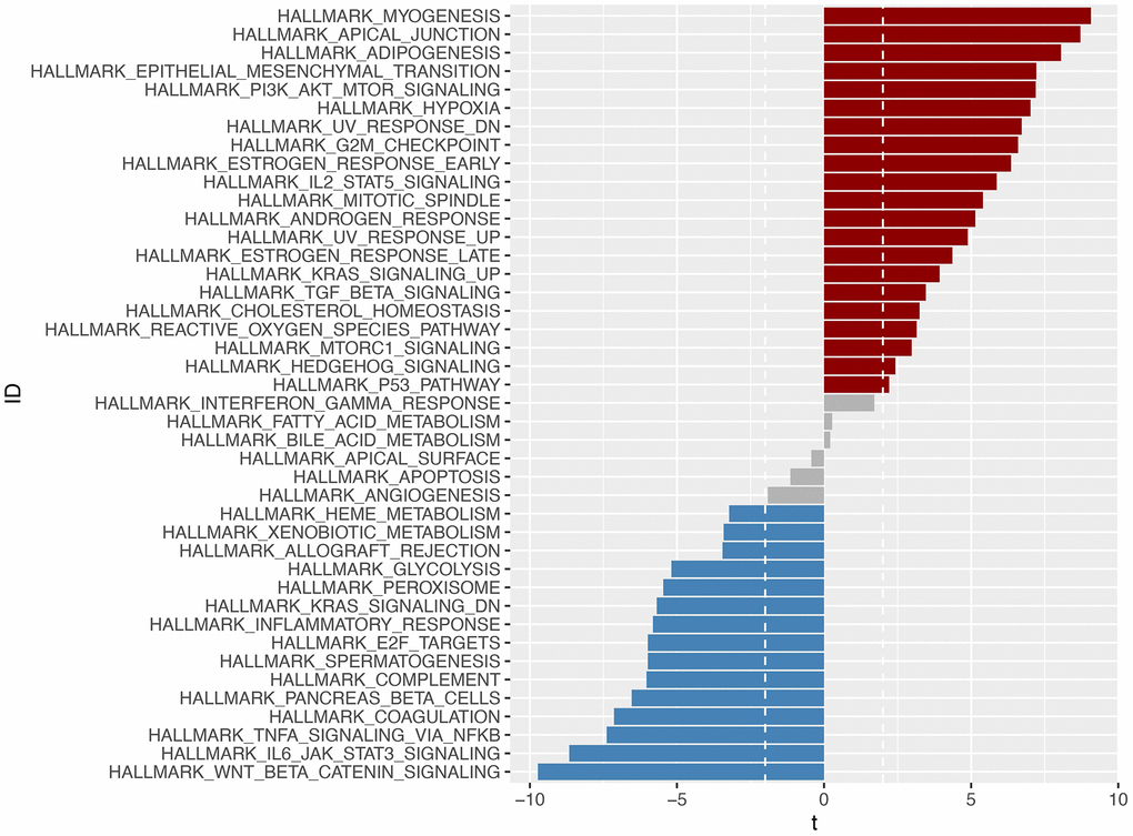 Through GSVA analysis, significant enrichment pathways with differences in the high-risk and low-risk groups were obtained (p  Pathways enriched in the high-risk group were marked in red, those enriched in the low-risk group were marked in blue, and those enriched in -2