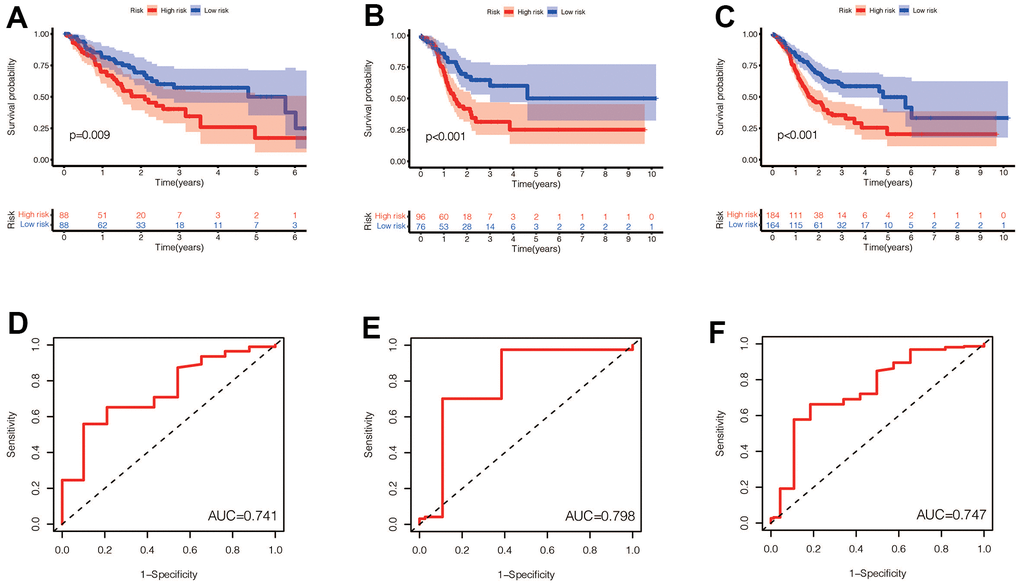 (A–C) Prognostic differences between the high-risk and low-risk groups were investigated in the training set, validation set, and the entire dataset. High risk was found to indicate poor prognosis in all three datasets (pD–F) In the training set, validation set and the entire set, the AUC values obtained by the prognostic model to predict the accuracy of the 5-year survival rate of patients were 0.741, 0.798 and 0.747, respectively.