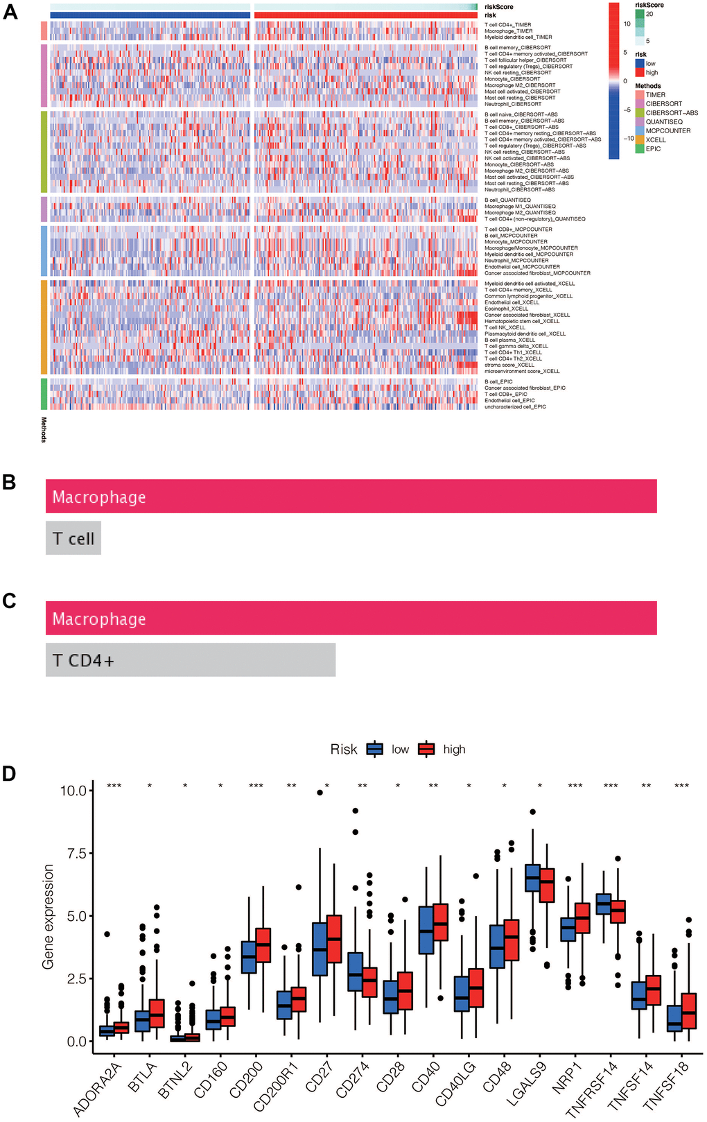 (A) Heat maps of immune cells that differ between the high-risk and low-risk groups. (B, C) Macrophage was the most different immune cells predicted by Dreimt database among the high-risk and low-risk groups (pD) Immune checkpoint genes that were differentially expressed in the high-risk and low-risk groups were selected and presented in a boxplot. (* pp p