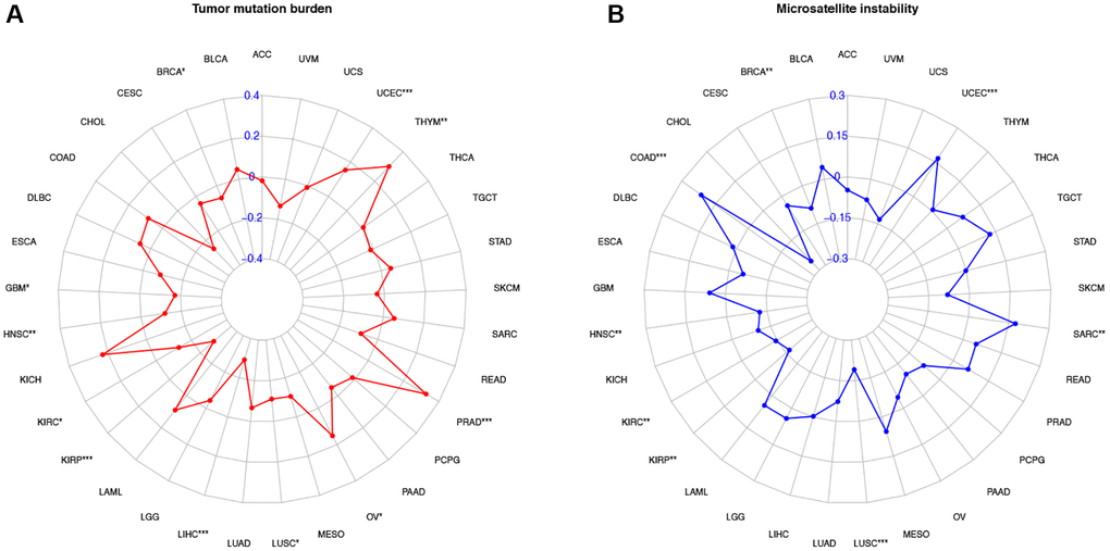 Correlation of COL10A1 expression with tumor mutation burden (TMB) and microsatellite instability (MSI) in multiple cancers. Correlation between TMB and COL10A1 expression (A). Correlation between MSI and COL10A1 expression (B). The Spearman correlation coefficients are shown above the bar graphs. (Spearman Correlation test, p *p **p ***p 