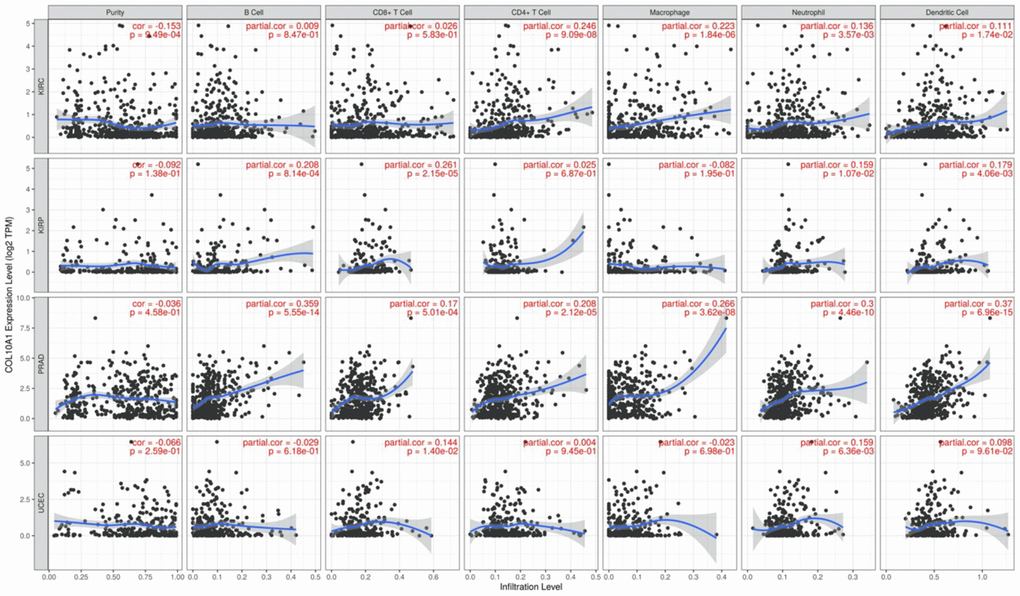 Correlation of COL10A1 expression levels with immune cell infiltration in the TIMER database. Correlation between six immune cell infiltration scores (B cell, CD4+ T cell, CD8+ T cell, neutrophil, macrophage, dendritic cell) and COL10A1 mRNA expression in Kidney renal clear cell carcinoma (KIRC), Kidney renal papillary cell carcinoma (KIRP), Prostate adenocarcinoma (PRAD), and Uterine corpus endometrial carcinoma (UCEC). (Spearman correlation test, p 