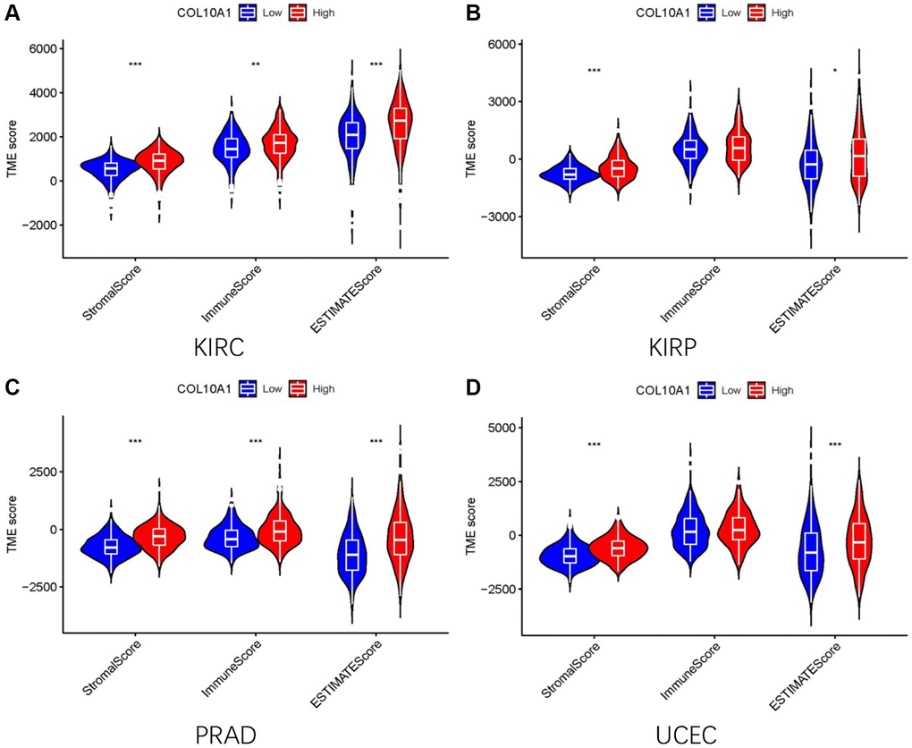 The high and low expression groups of COL10A1 were correlated with the ESTIMATE score, which includes the stromal score (indicating the presence of stromal cells in the tumor tissue), immune score (representing the infiltration of immune cells in the tumor tissue), and the purity of the tumor. Analysis of differences in stromal scores, immune scores and ESTIMATE scores between high and low COL10A1 expression groups in four cancers (KIRC, PRAD, KIRP, and UCEC) (A–D).