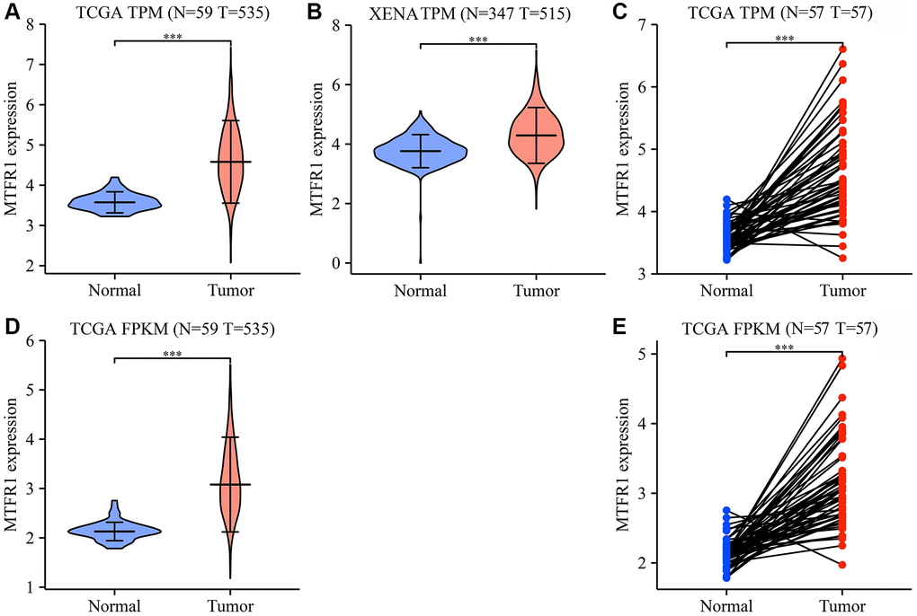 MTFR1 expression levels in LAC tissues from the TCGA and XENA databases. (A–C) The data of TPM type; (D, E) The data of FPKM type. Abbreviations: LAC: lung adenocarcinoma; TCGA: The Cancer Genome Atlas; TPM: transcripts per million; FPKM: Fragments Per Kilobase Million; ***P 