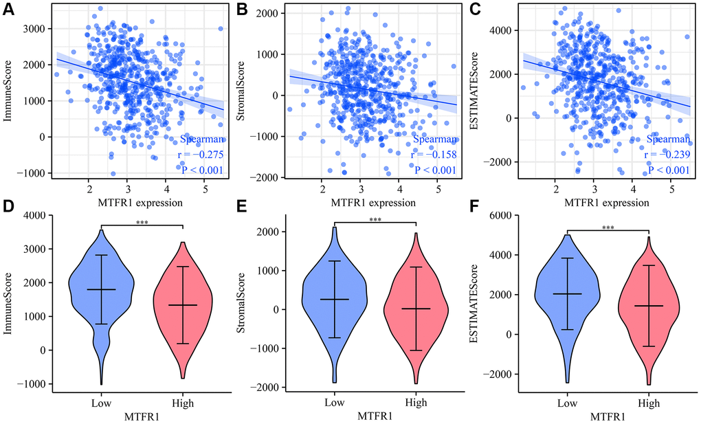 MTFR1 expression correlated with the LAC immune microenvironment. (A) Immune score; (B) Stromal score; (C) ESTIMATE score (D–F) Stromal, immune and ESTIMATE scores were statistically significant in high- and low-MTFR1 groups. Abbreviation: LAC: lung adenocarcinoma.
