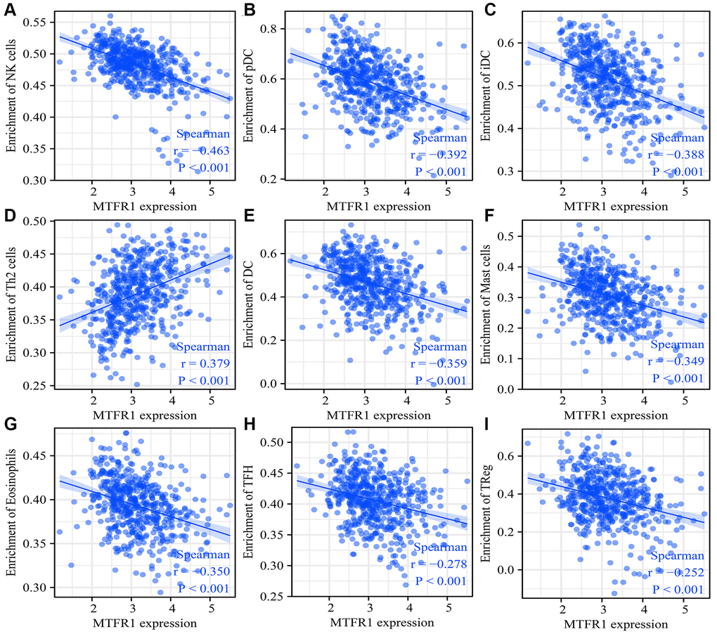 MTFR1 expression correlated with the LAC immune cells. (A) Natural killer cells; (B) pDCs; (C) IDC; (D) Th2 cells; (E) DCs; (F) Mast cells; (G) Eosinophils; (H)TFH; (I) Treg. Abbreviation: LAC: lung adenocarcinoma.