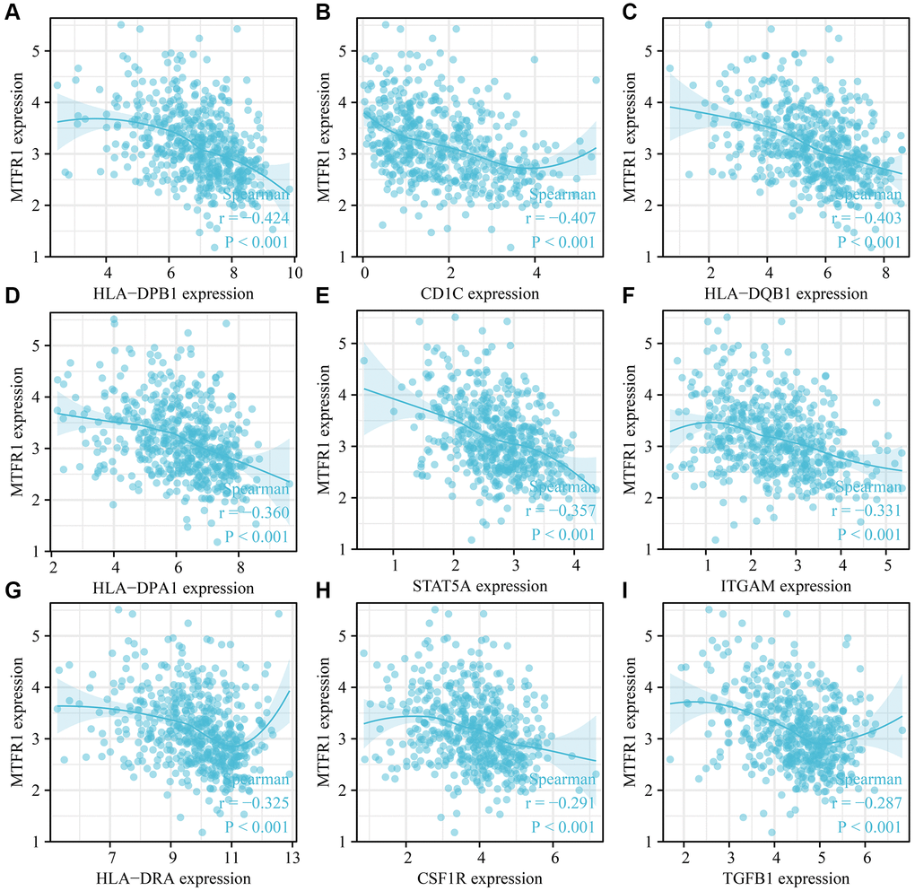 MTFR1 expression correlated with the LAC immune cell markers. (A) HLA-DPB1; (B) CD1C; (C) HLA-DQB1; (D) HLA-DPA1; (E) STAT5A; (F) ITGAM; (G) HLA-DRA; (H) CSF1R; (I) TGFB1. Abbreviation: LAC: lung adenocarcinoma.