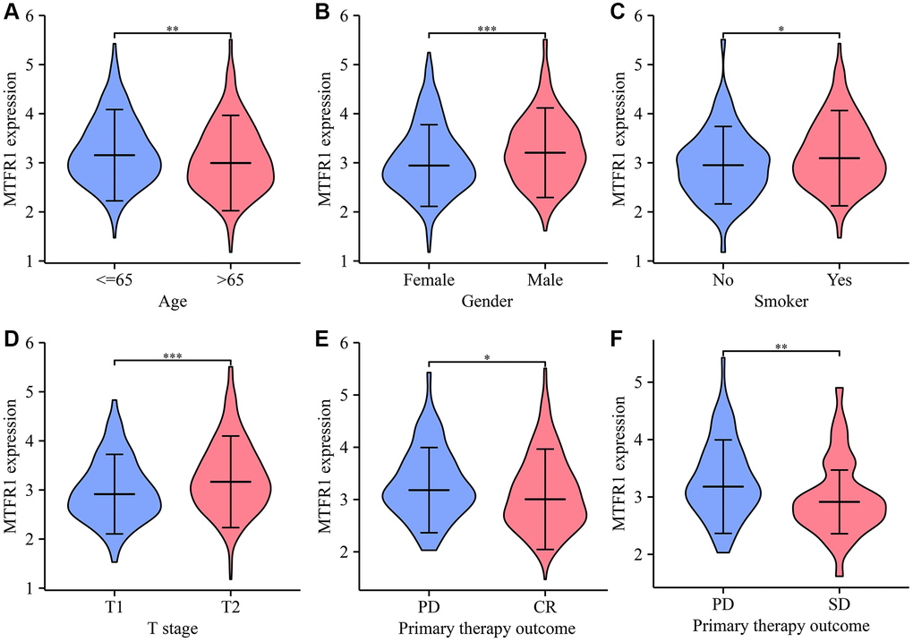 The levels of MTFR1 have a significant difference in the clinicopathological features of patients with LAC. (A) Age; (B) Gender; (C) Smoking; (D) T stage; (E, F) Treatment effects. Abbreviation: LAC: lung adenocarcinoma; *P **P ***P 