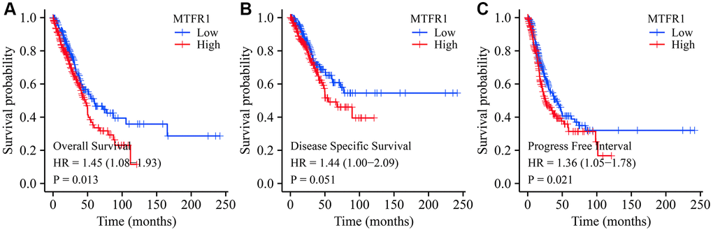 Prognostic values of MTFR1 in LAC from the TCGA database. (A) Overall survival; (B) DSS; (C) PFI. Abbreviations: LAC: lung adenocarcinoma; DSS: disease-free survival; PFI: progression-free interval; TCGA: The Cancer Genome Atlas.