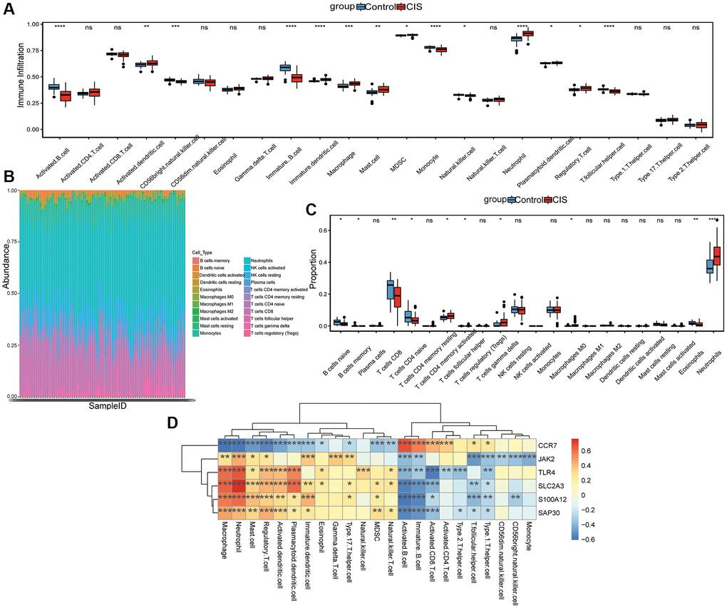 Analysis of immune cell infiltration. (A) The level of immune cell infiltration was analyzed by ssGSEA method; (B) Stacked histogram of the proportion of each immune cell in the sample analyzed by CIBERSORT method; (C) Box diagram of the proportion of each immune cell in the sample analyzed by CIBERSORT method; (D) Correlation between hub mRNAs and immune cell infiltration. Red and blue represent positive and negative correlations, respectively. *P **P ***P ****P 