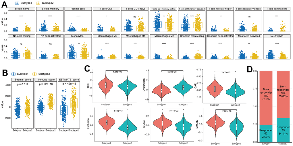 Difference of immune characteristics between the two subtypes. (A) Differences in immune cell scores between two subtypes in the TCGA–HNSC cohort. (B) Differences in ESTIMATE immune infiltration between two subtypes in the TCGA–HNSC cohort. (C) Differences in TIDE analysis score between two subtypes in the TCGA–HNSC cohort. (D) Differences in immunotherapy response prediction between two subtypes in the TCGA–HNSC cohort.