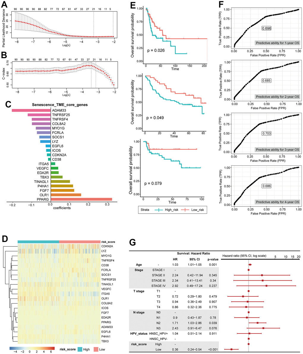 Construction of risk scoring model based on senescence related TME status. (A) LASSO PLD. (B) LASSO c-index. (C) core genes, coefficient. (D) Heatmap showing the expression of 21 STCGs of the two risk groups. (E) KM curves indicating prognostic differences between the two risk groups (Left; HNSC-TCGA test cohort, Middle; GSE41613, Right; KHUMC cohort). (F) Receiver operating characteristic (ROC) curves predicting 1-year, 2-year, 3-year, 4-year OS. (G) Multivariable analysis with hazard ratio (HR) for OS represented in a Forest plot.