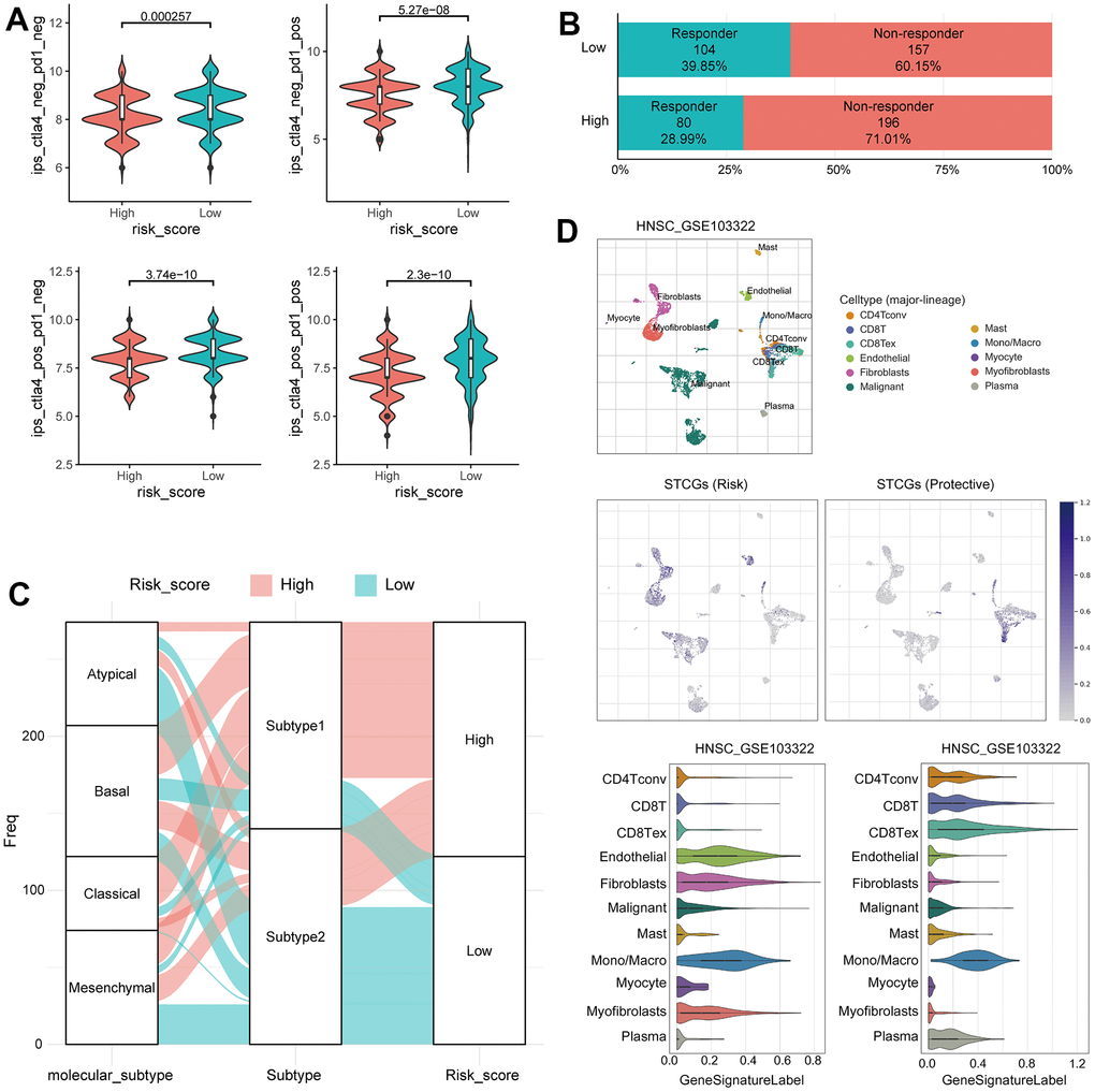 Immunotherapy response prediction of senescence related TME risk model and STCGs expression in single cell level. (A) Differences in immunophenoscore between two risk group in the TCGA–HNSC cohort. (B) Differences in immunotherapy response prediction between two risk group in the TCGA–HNSC cohort. (C) Alluvial plot showing the changes of molecular subtype, senescence related TME subtype and risk group. (D) Single cell profiling of senescence related TME core genes.