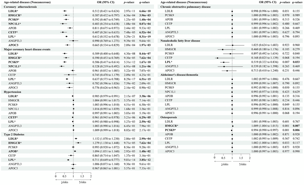 Causal effects of the genetically proxied lipid-lowering drug targets on age-related noncancerous diseases. The forest plot showed the estimated effects of 1 mmol/L lower LDL-C or TG concentration by target-specific variants in each drug target gene on age-related noncancerous diseases, using the IVW method. OR and 95% CI indicated the effect estimates of a 1mmol/L change of circulating lipids on outcomes.