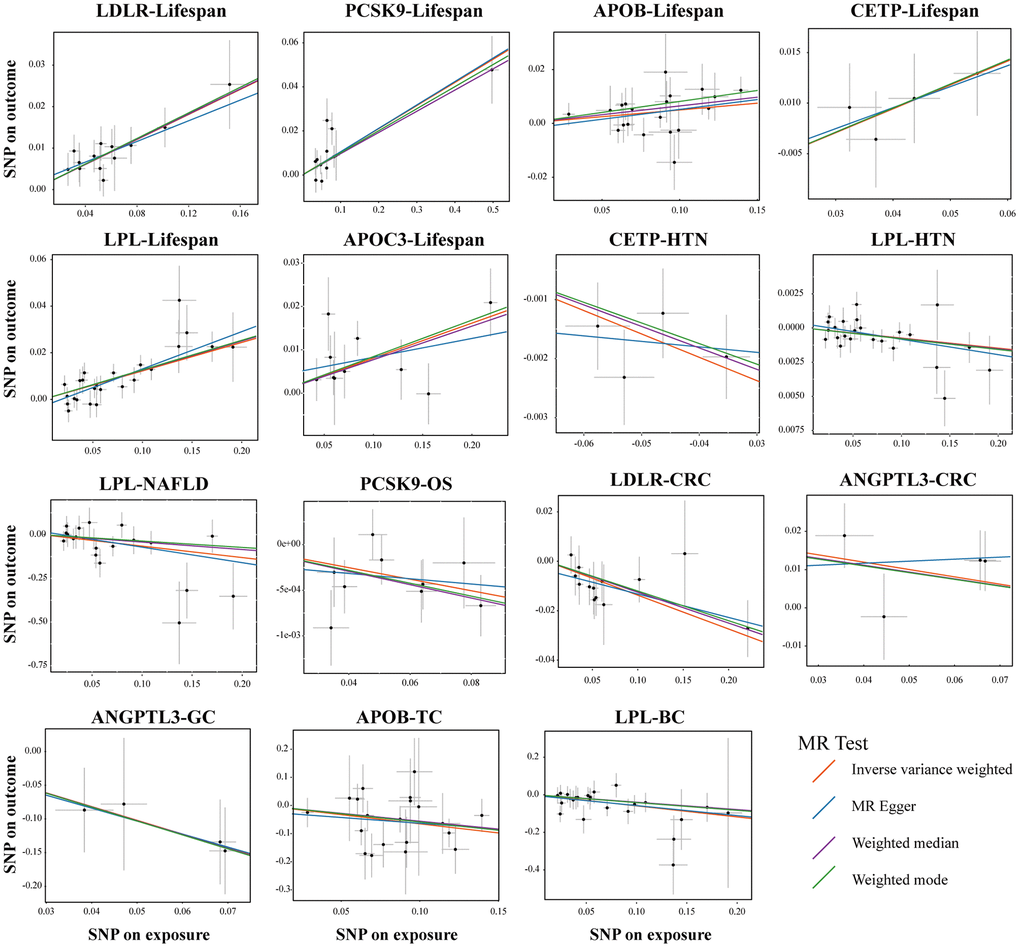 Sensitivity test in drug-target MR analyses. Scatter plots of four statistical tests showing representative lipid-lowering drug target genes that had a causal relationship on the different outcomes. Each black dot represents an SNP significantly associated with lipid-lowering effects. The gray lines around the dot represent the 95% confidence intervals of each SNP. Four lines generated by different MR tests were colored as red (Inverse Variance Weighted, IVW), blue (MR Egger), purple (Weighted Median), and green (Weighted mode). the X-axis represents the SNPs effects of certain lipid-lowering genes, and the Y-axis represents the SNPs effects of different outcomes. Abbreviations: HTN, hypertension; NAFLD, non-alcoholic fatty liver disease; OS, osteoporosis; CRC, colorectal cancer; GC, gastric cancer; TC, thyroid cancer, BC, bladder cancer.