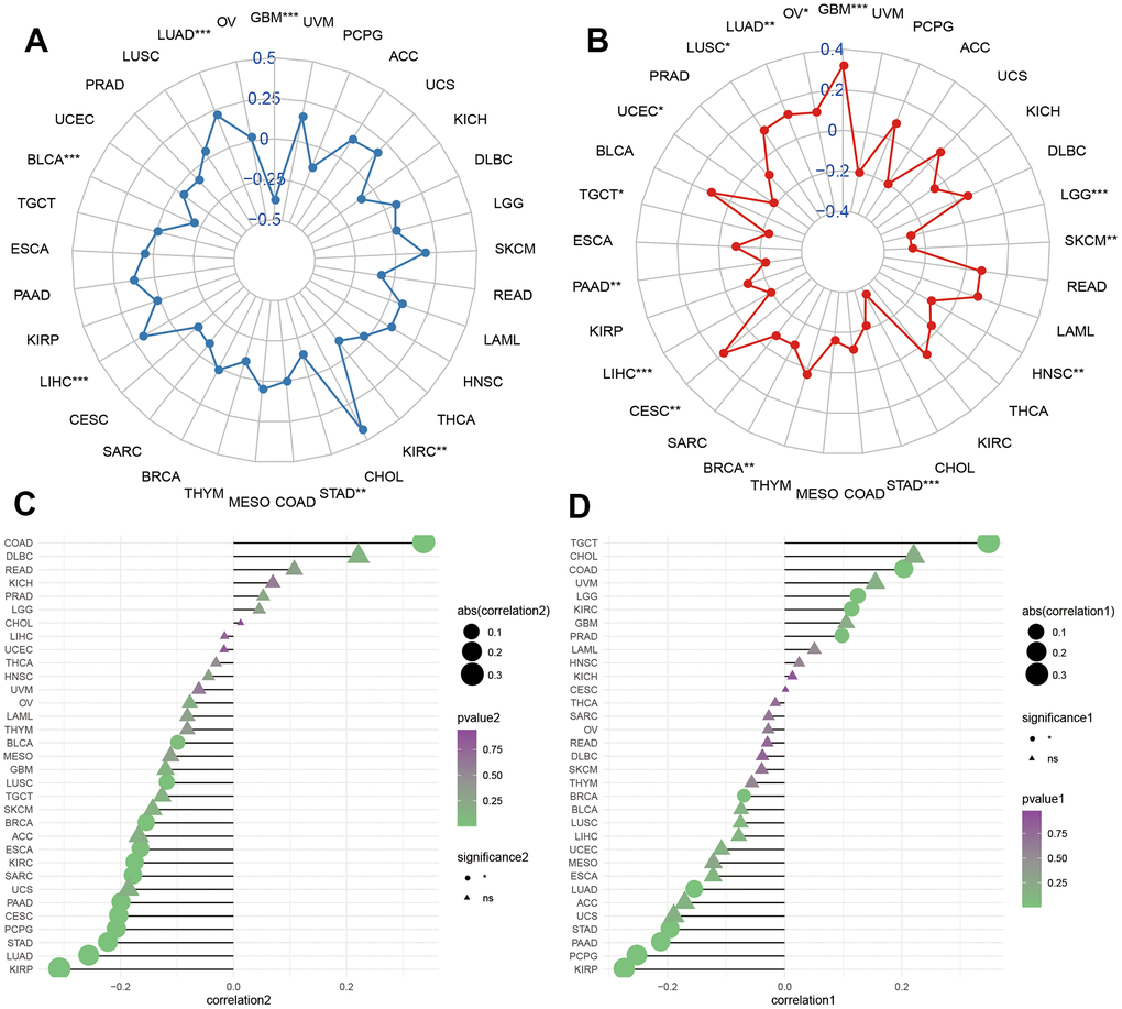 Molecular features of HOXC10 in cancers. (A, B) Correlations of HOXC10 with TMB and MSI in cancers. (C, D) Correlations of HOXC10 with ESTIMATE and stromal score.