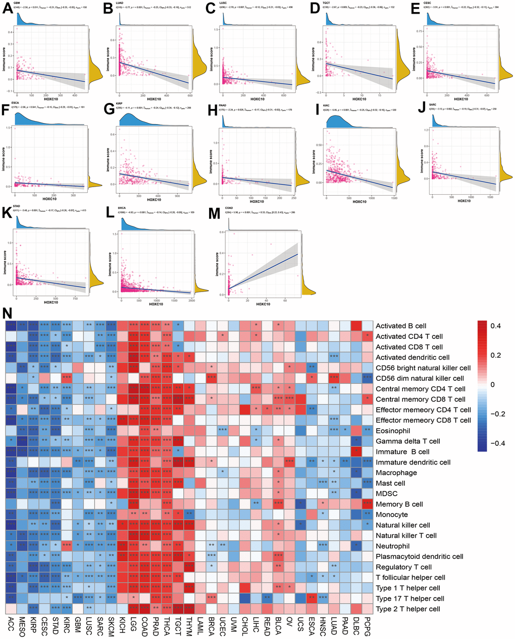 Associations between HOXC10 expression and immune status. (A–M) Correlations of HOXC10 with immune score in GBM, LUAD, LUSC, TGCT, CESC, ESCA, KIRP, PAAD, KIRC, SARC, STAD, BRCA, and COAD. (N) Associations between HOXC10 and immune cells in cancers.