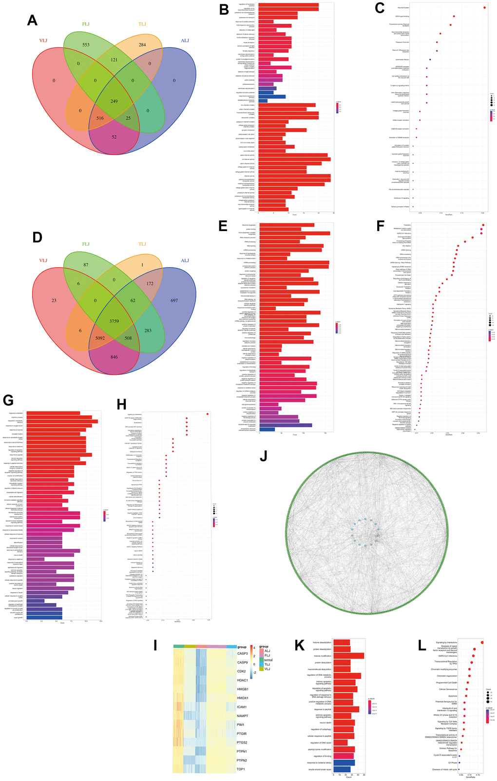 Common characteristics of liver injury and targets of oleanolic acid (A) Highly expressed genes of the liver injury. (B) Gene function of highly expressed genes. (C) Cellular pathways of highly expressed genes. (D) Lowly expressed genes of the liver injury. (E) Gene function of lowly expressed genes. (F) Cellular pathways of lowly expressed genes. (G) Gene function of oleanolic acid targets. (H) Cellular pathways of oleanolic acid targets. (I) Expression of 11 liver injury-related oleanolic acid targets. (J) PPI analysis of 11 liver injury-related oleanolic acid targets. (K) Gene function of genes in PPI analysis. (L) Cellular pathways of genes in PPI analysis.