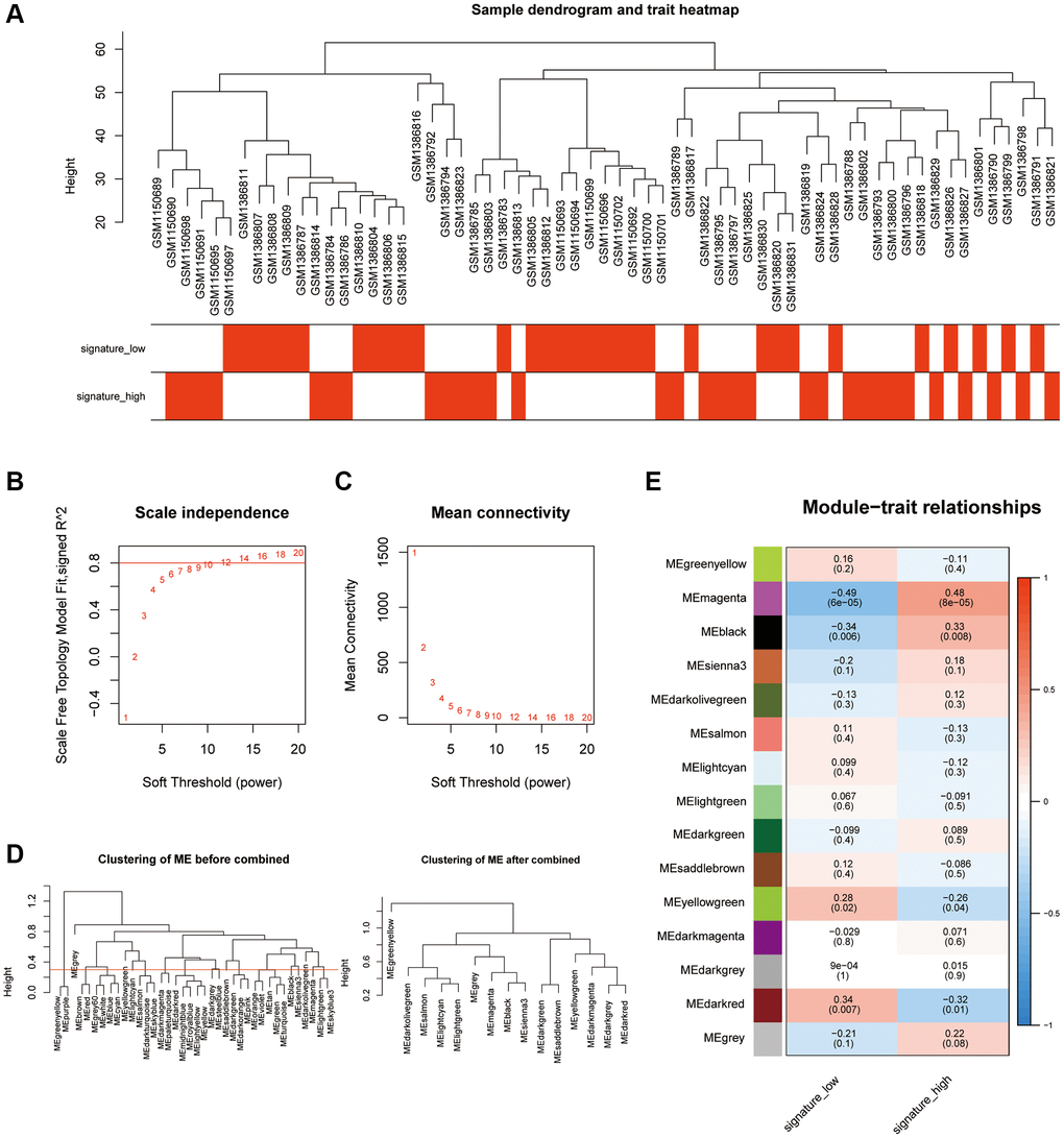 Analysis of the weighted co-expression network in high and low PRGs. (A) Presentation of sample grouping results in high and low PRGs from the AAA combined datasets. (B, C) Sample module screening threshold scale-free networks in high and low PRGs from the AAA combined datasets displaying scale-free topological fit index (B) and average connectivity degree (C). (D) Presentation of module aggregation in high and low PRGs from the AAA combined datasets. (E) Presentation of correlation analysis between cluster modules and different groups in high and low PRGs from the AAA combined datasets. Abbreviations: WGCNA: weighted correlation network analysis; AAA: abdominal aortic aneurysm.