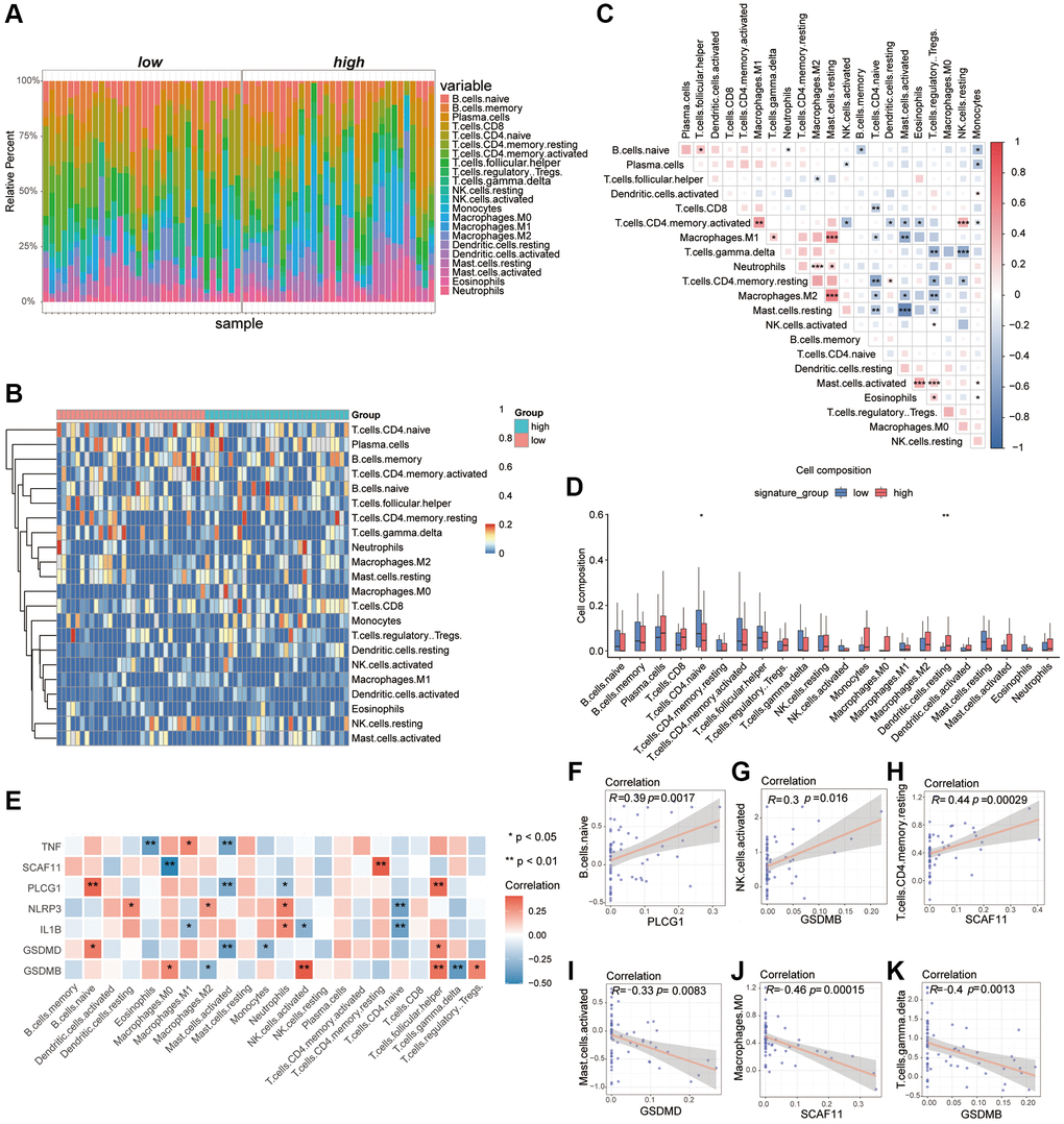 Analysis of differences in immune characteristics between high and low PRGs groups based on the AAA combined datasets. (A) Bar graph of abundance of immune cell infiltration between high and low PRGs groups. (B) Heatmap of the abundance of immune cell infiltration between the high and low PRGs groups. Red representing high cell abundance and blue representing low cell abundance. (C) Correlation heatmap of infiltration abundance of different immune cells. Red represents positive correlation and blue represents negative correlation. (D) Box plot of immune cell infiltration abundance between the high and low PRGs groups. Red represents the high PRGs group and blue represents the low PRGs group. (E) Heatmap of correlation between pyroptosis biomarker and infiltration abundance of different immune cells. Red represents positive correlation and blue represents negative correlation. (F–K) Scatter plot of correlation between pyroptosis biomarker and abundance of different immune cell infiltration. PLCG1 was significantly correlated with B.c.naive (F). There was a significant positive correlation between GSDMB and NK.cells.activated (G). The SCAF11 was significantly positively related to T.cell.CD4.Memory. Resting (H). The GSDMD was negatively correlated with Mast.cells.activaetd (I). The SCAF11 was negatively correlated with Macrophage.M0 (J). There was a significant negative correlation between GSDMB and T.cal.GMMA.delta (K). *P **P ***P 