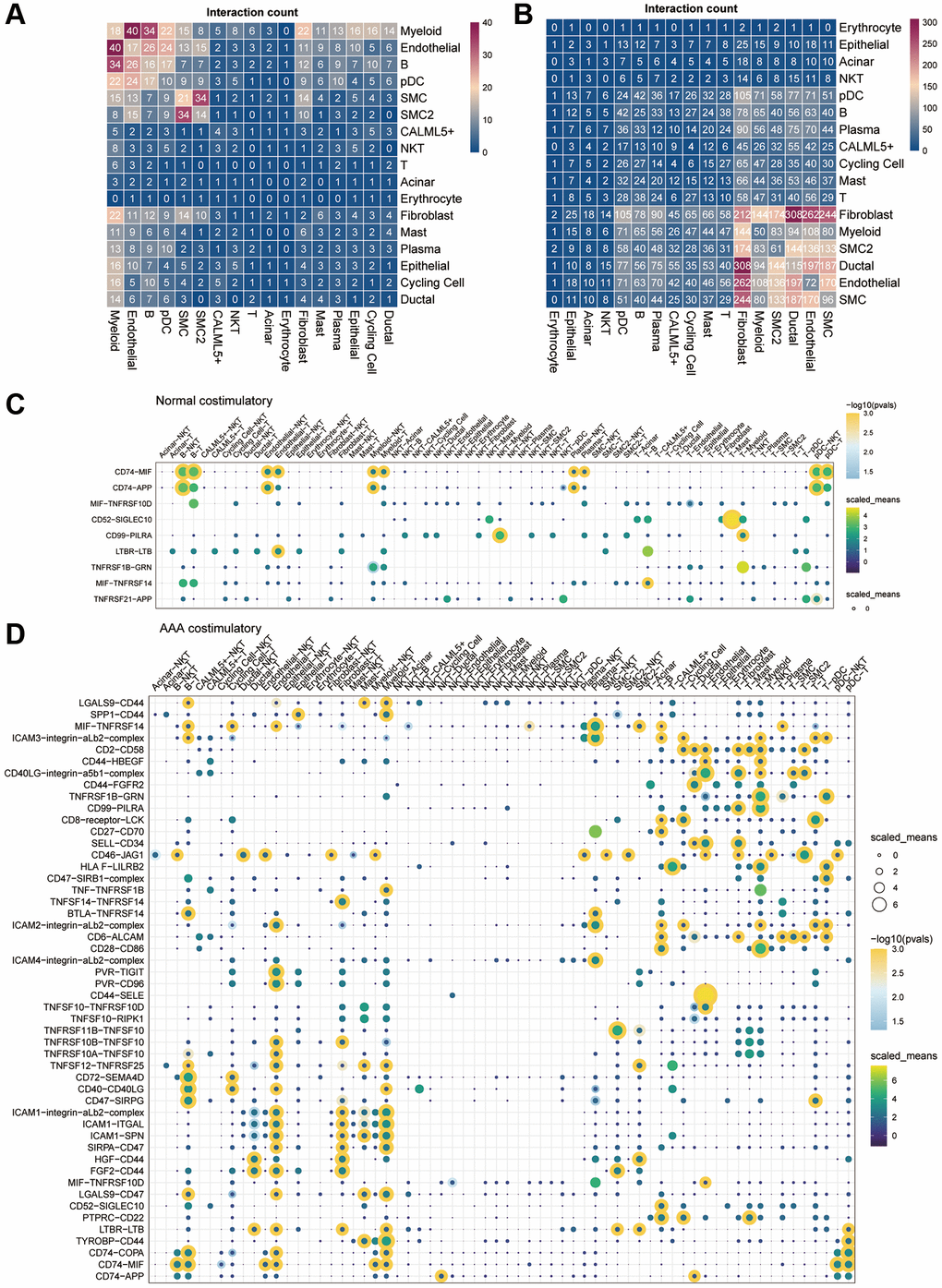 Cell-cell communication in the GSE166676 single-cell dataset. (A, B) Heatmap of cell-cell communication between different cell types in the control group (A) and the AAA group (B) in the GSE166676 single-cell dataset. (C, D) Interaction of costimulatory molecules between different cells in the control group (C) and AAA group (D). The color of the dot represents the communication strength, and the size of the circle represents the significance of the strong p-value. Abbreviations: AAA: abdominal aortic aneurysm; CON: Control.