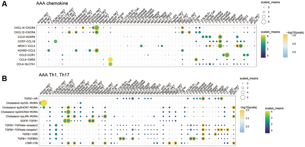 The role of cytokine communication between different cell types in the GSE166676 single-cell dataset. (A) The role of chemokines between different cells in the AAA group. (B) The role of Th cytokines between different cells in the AAA. Abbreviations: AAA: abdominal aortic aneurysm; CON: Control.