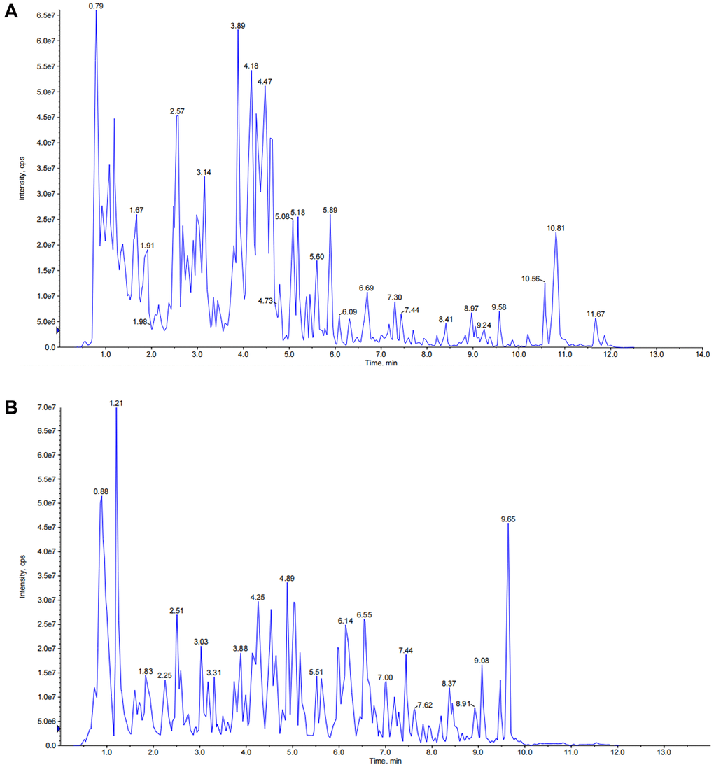 The total ion chromatograms (TICs) of JPYSF extract. (A) TICs of JPYSF extract in negative ion mode. (B) TICs of JPYSF extract in positive ion mode.