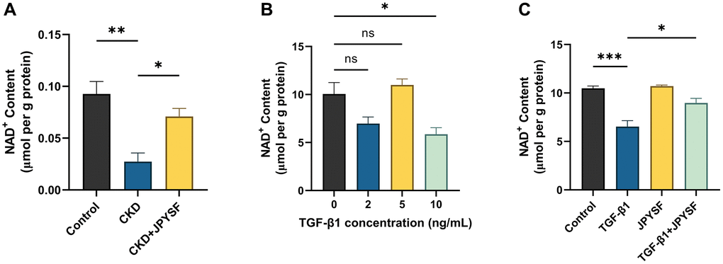 The effects of JPYSF on NAD+ content in vivo and in vitro. (A) NAD+ content in the kidney of normal mice and CKD mice with or without JPYSF treatment (n = 4). (B) NAD+ content in HK-2 cells stimulated with TGF-β1 at the concentrations of 0, 2, 5, and 10 ng/mL (n = 3). (C) NAD+ content in HK-2 cells with TGF-β1 or/and JPYSF stimulation (n = 3). Data are expressed as mean ± SEM (nsp > 0.05, *p **p ***p 