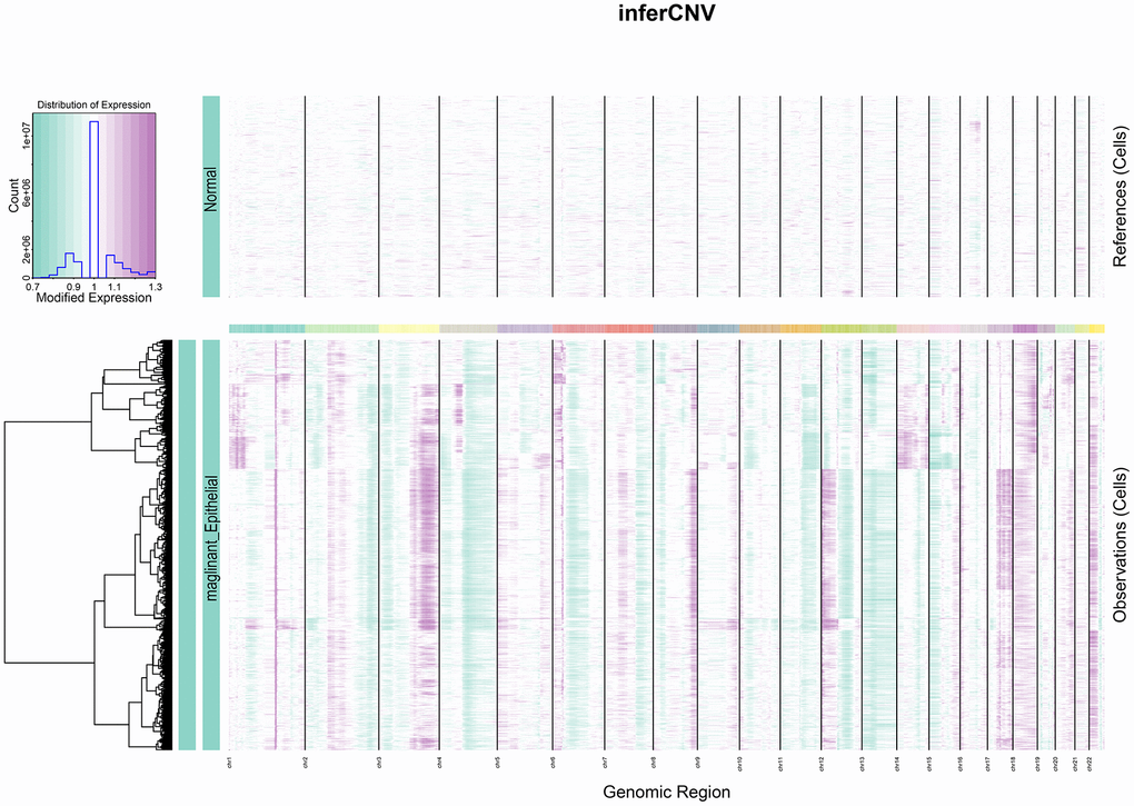 InferCNV heat map. The colours represent the copy number, which gradually increases from green to purple.