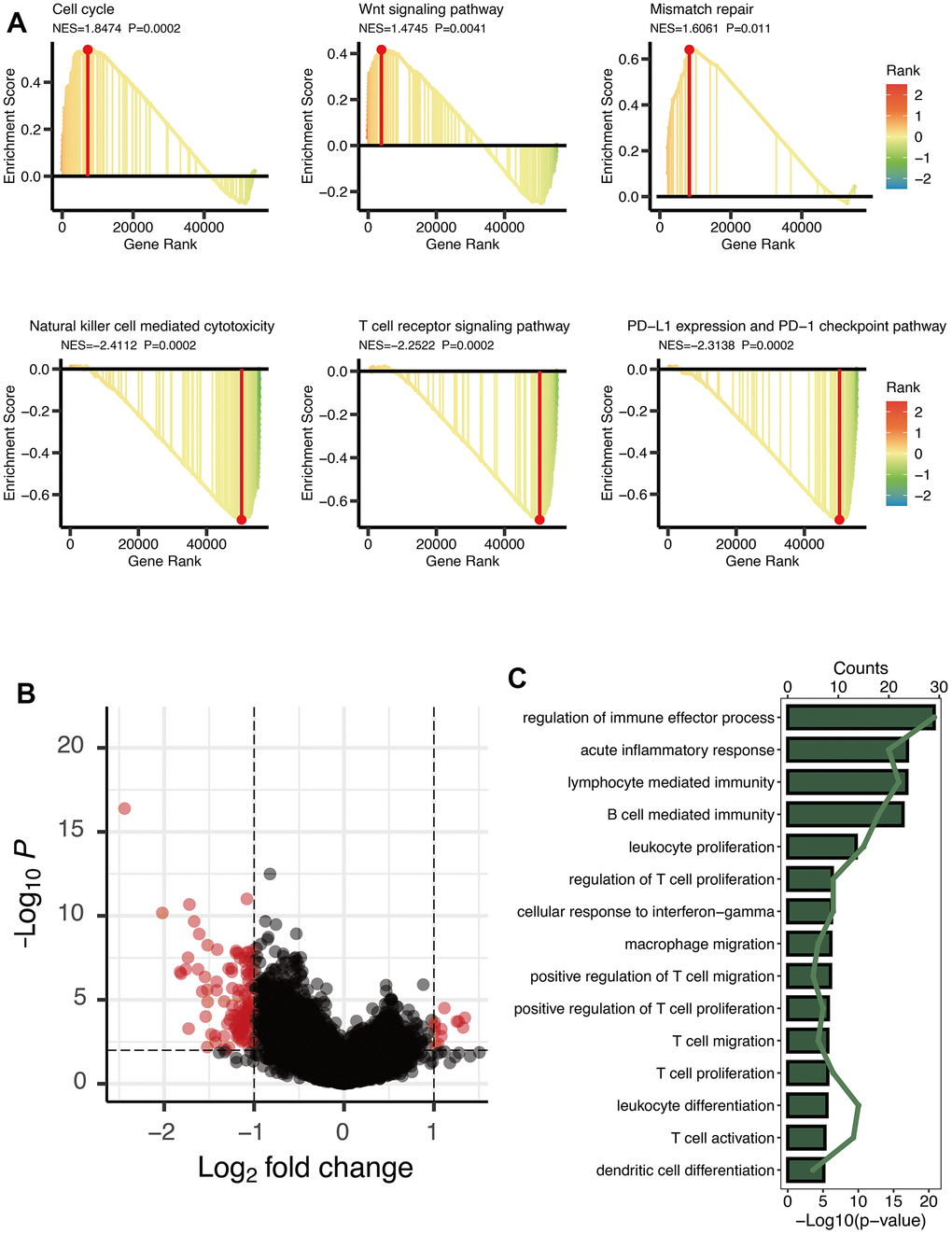 Enrichment analysis of OXS-clusters in TARGET-OS. (A) GSEA maps of cancer and immune-related signaling pathways for OXS-clusters; (B) The volcano map reflecting the differentially expressed genes identified between the two OXS-clusters (logFC>1, FDRC) KEGG enrichment map of 125 differentially expressed genes.