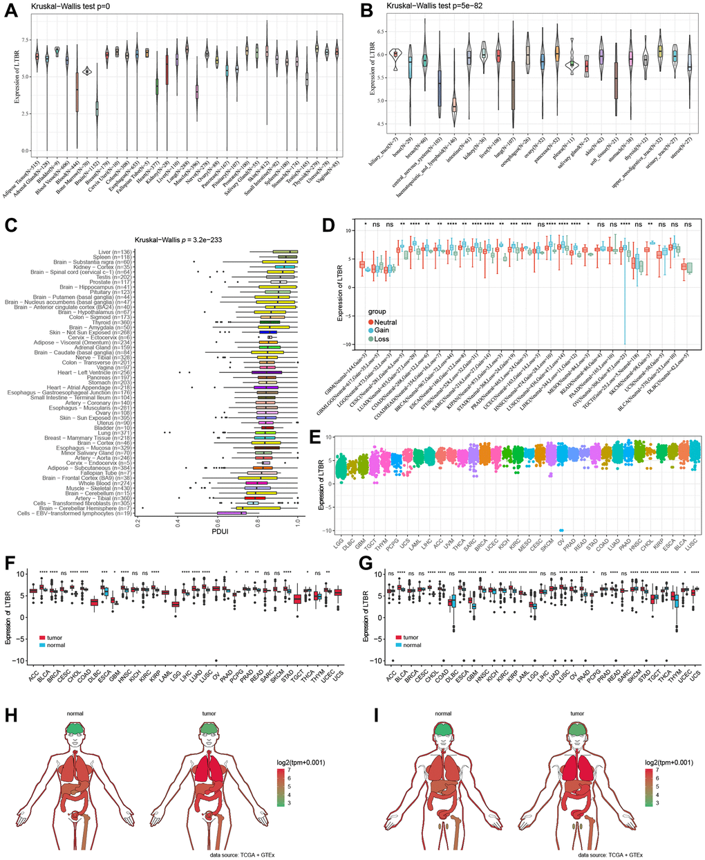 LTBR mRNA expression. (A) LTBR expression in 31 normal tissues and (B) 21 tumor cell lines. (C) APA landscape of LTBR in individual normal tissues. (D) Differential CNV expression levels of LTBR in individual tumors. (E) LTBR mRNA expression in tumor tissues from TCGA database. (F) Expression levels of LTBR in TCGA. (G) Combined GTEx database and TCGA analysis of LTBR expression levels. Anatomical maps of LTBR gene expression profiles in all tumor samples and normal tissues in females (H) and males (I).