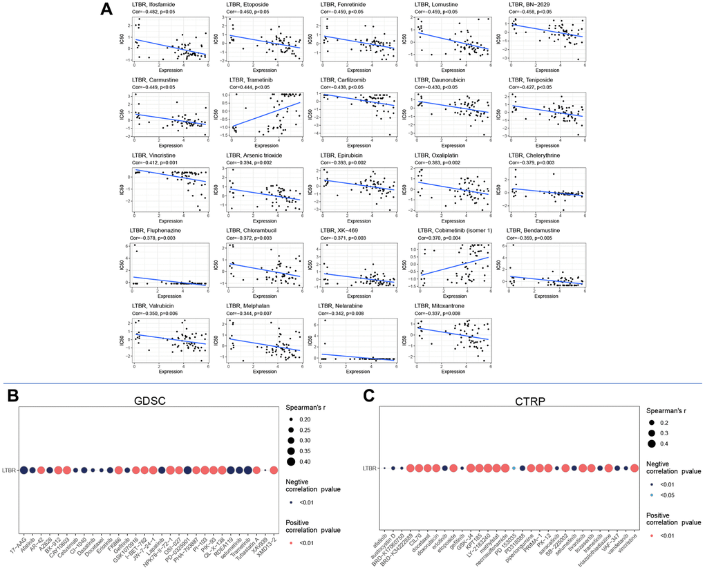 Drug sensitivity analysis in (A) cellMiner database, (B) GDSC database, and (C) CTRP database.