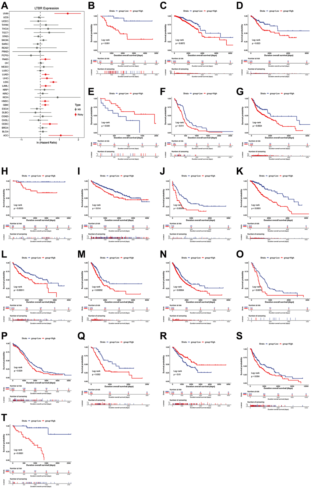 The relationship of LTBR expression with patients’ OS. (A) Forest plots of hazard ratios of LTBR in 33 cancer types. Log-rank test OS curves for patients stratified by different expression levels of LTBR in (B) ACC, (C) BRCA, (D) CESC, (E) CHOL, (F) GBM, (G) HNSC, (H) KICH, (I) KIRC, (J) LAML, (K) LGG, (L) LIHC, (M) LUAD, (N) LUNG, (O) MESO, (P) OV, (Q) PAAD, (R) SARC, (S) SKCM, (T) UVM.