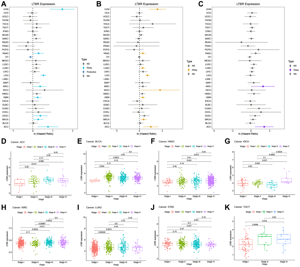 The relationship of LTBR expression with patients’ PFI, DSS, DFI, and clinical stage. Forest plots of hazard ratios of LTBR in (A) PFI, (B) DSS, and (C) DFI. (D–K) Pan-cancer differential expression of LTBR in clinical stages.