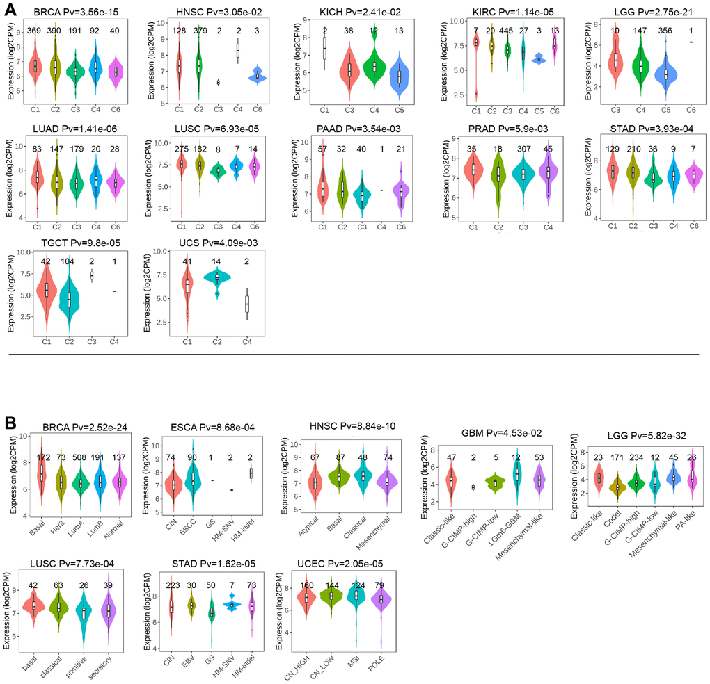 (A) The relationship of LTBR expression with immune subtypes in BRCA, HNSC, KICH, KIRC, KIRP, LGG, LUAD, LUSC, PAAD, PRAD, STAD, TGCT, and UCS. (B) The differences of LTBR expression levels among distinctive methyltransferase in BRCA, ESCA, HNSC, GBM, LGG, LUSC, STAD, and UCEC.