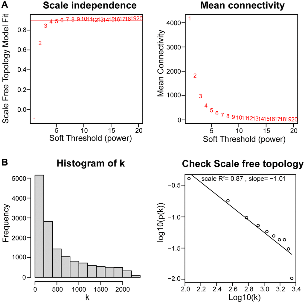 Using weighted gene coexpression network analysis (WGCNA) to determine soft threshold capability. (A) The soft thresholding power β in the WGCNA was determined based on a scale-free R2 (R2 = 0.87). (B) Histogram of connectivity distribution and checking the scale-free topology when β = 4.