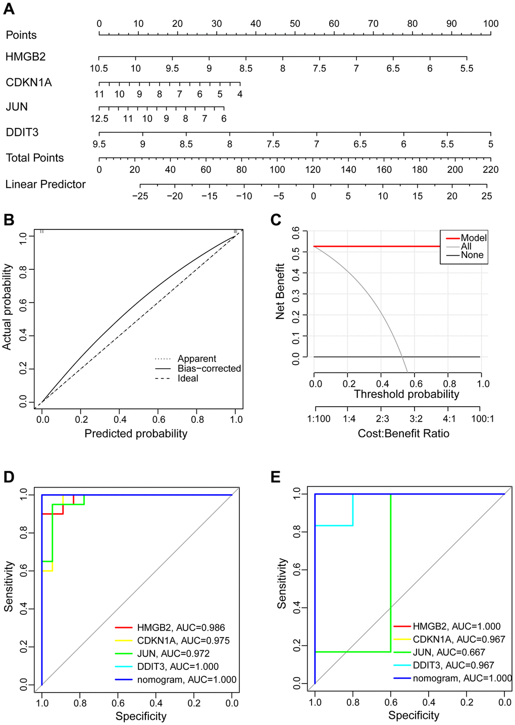 Construction of the nomogram model and assessment diagnostic value. (A) Construction of the nomogram model on the basis of the four hub aging-related genes. (B) The calibration curve evaluates the predictive accuracy of the nomogram model. (C) The DCA curve to assess the clinical application value of nomogram model. (D) All hub genes and nomogram ROC curve for the training set GSE114007. (E) All hub genes and nomogram ROC curve for the validation set GSE169077.