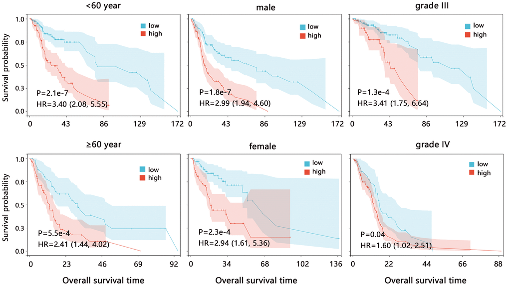 The Kaplan-Meier survival analysis of CD86 in different subgroups among HGG patients. Abbreviation: HR, Hazard ratio; CI, confidence interval.